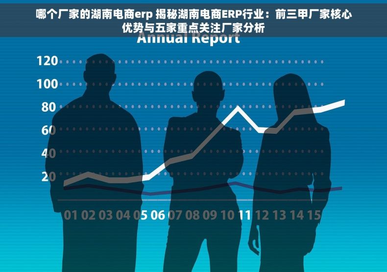 哪个厂家的湖南电商erp 揭秘湖南电商ERP行业：前三甲厂家核心优势与五家重点关注厂家分析