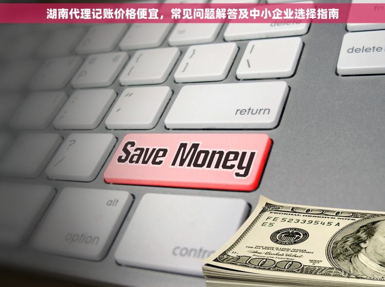 湖南代理记账价格便宜，常见问题解答及中小企业选择指南