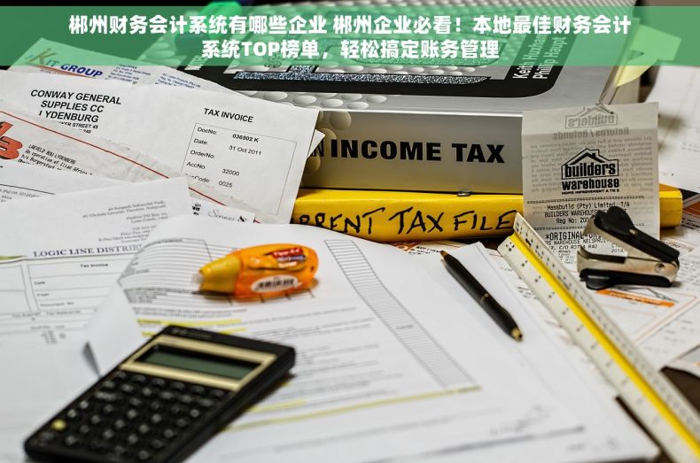 郴州财务会计系统有哪些企业 郴州企业必看！本地最佳财务会计系统TOP榜单，轻松搞定账务管理