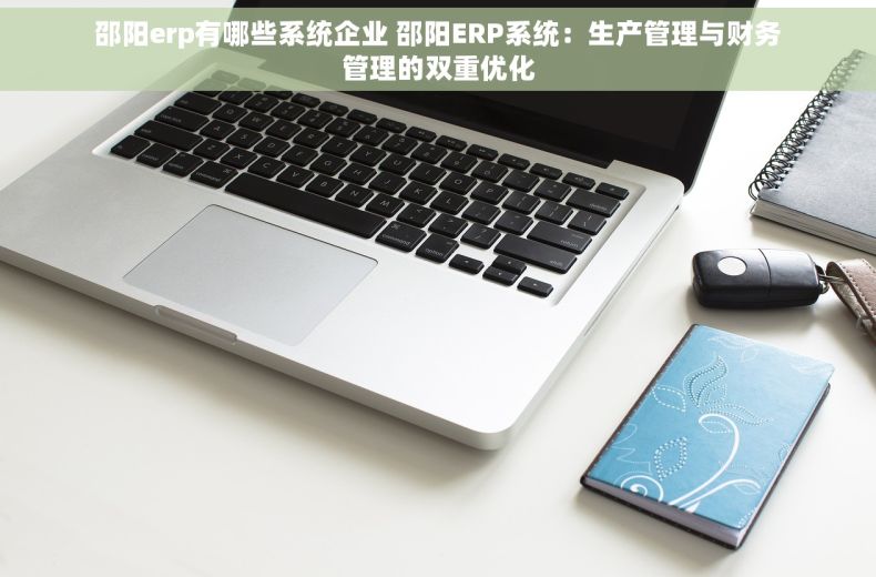 邵阳erp有哪些系统企业 邵阳ERP系统：生产管理与财务管理的双重优化