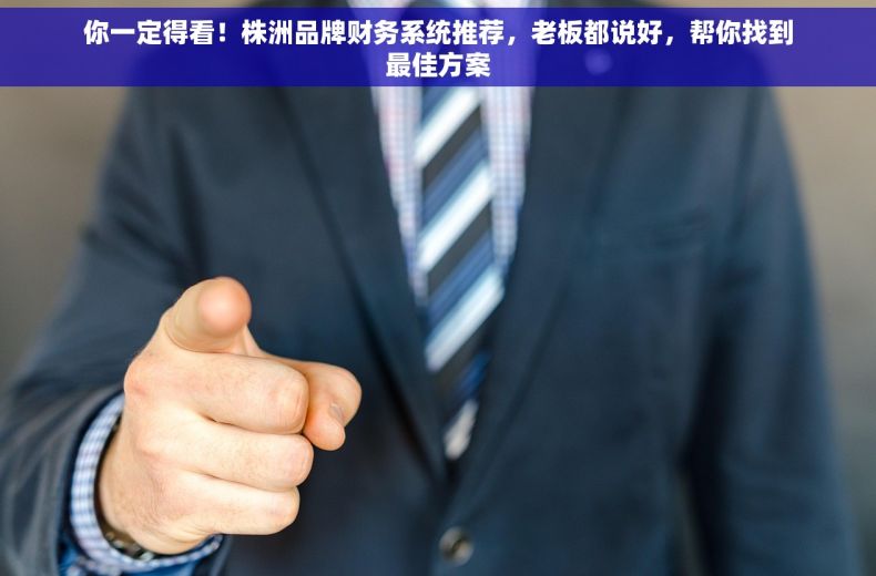 你一定得看！株洲品牌财务系统推荐，老板都说好，帮你找到最佳方案