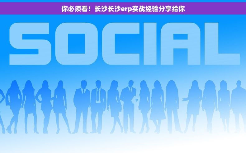 你必须看！长沙长沙erp实战经验分享给你