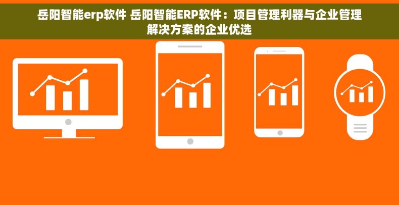 岳阳智能erp软件 岳阳智能ERP软件：项目管理利器与企业管理解决方案的企业优选