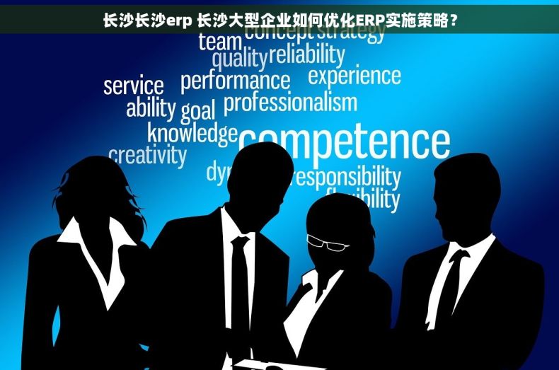 长沙长沙erp 长沙大型企业如何优化ERP实施策略？