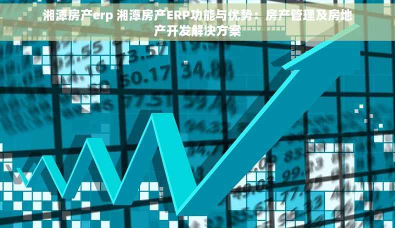 湘潭房产erp 湘潭房产ERP功能与优势：房产管理及房地产开发解决方案