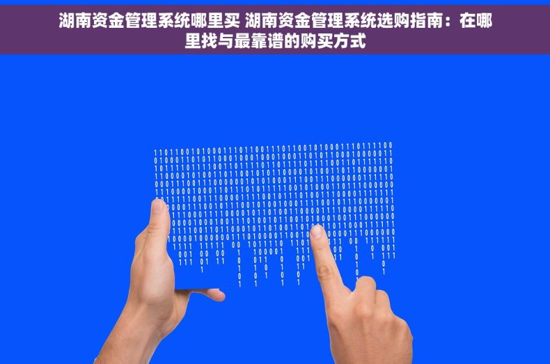 湖南资金管理系统哪里买 湖南资金管理系统选购指南：在哪里找与最靠谱的购买方式
