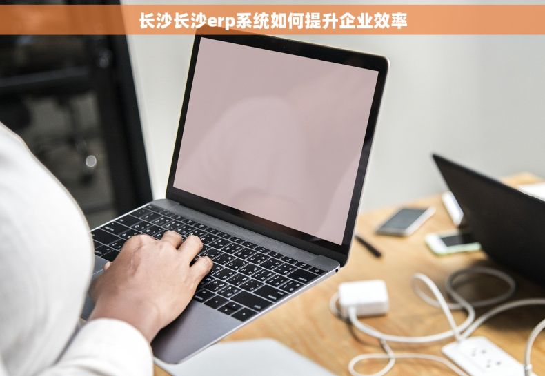 长沙长沙erp系统如何提升企业效率