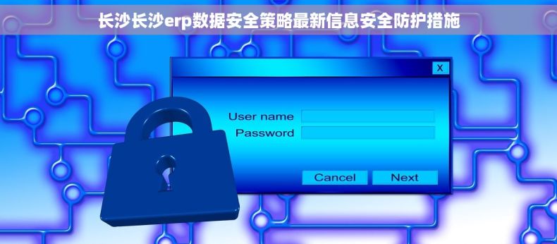 长沙长沙erp数据安全策略最新信息安全防护措施