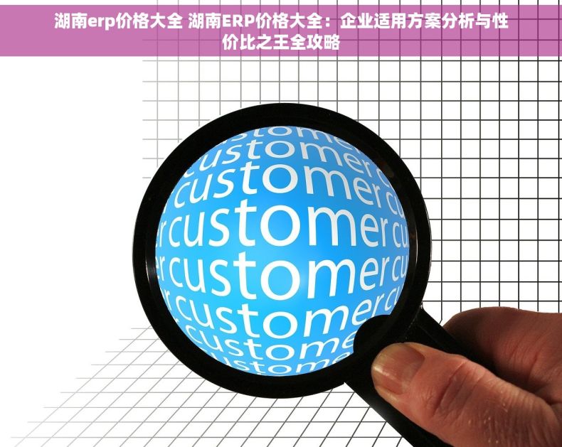 湖南erp价格大全 湖南ERP价格大全：企业适用方案分析与性价比之王全攻略
