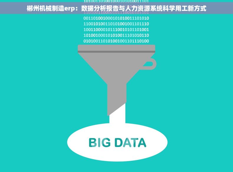 郴州机械制造erp：数据分析报告与人力资源系统科学用工新方式