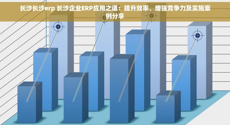 长沙长沙erp 长沙企业ERP应用之道：提升效率、增强竞争力及实施案例分享