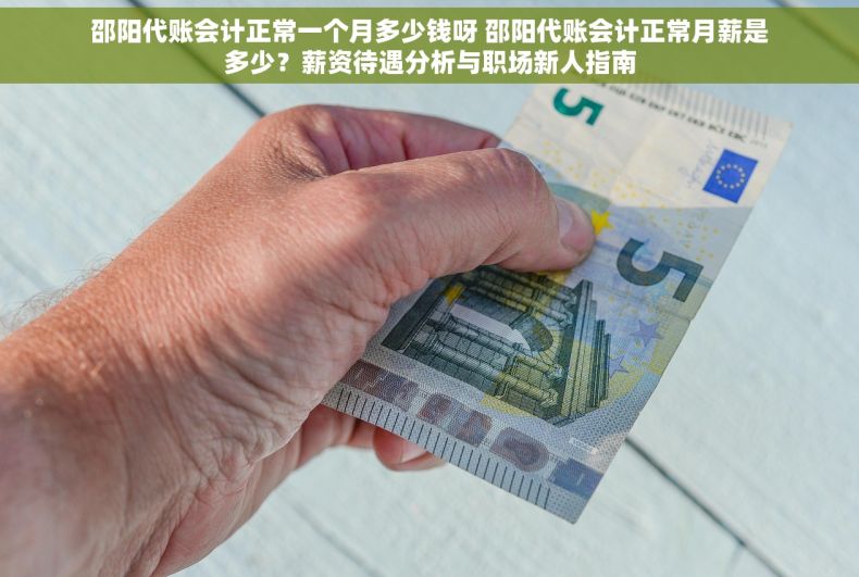 邵阳代账会计正常一个月多少钱呀 邵阳代账会计正常月薪是多少？薪资待遇分析与职场新人指南