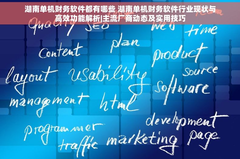 湖南单机财务软件都有哪些 湖南单机财务软件行业现状与高效功能解析|主流厂商动态及实用技巧