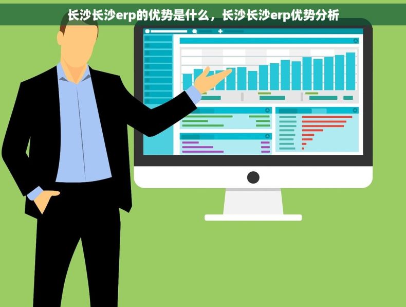 长沙长沙erp的优势是什么，长沙长沙erp优势分析