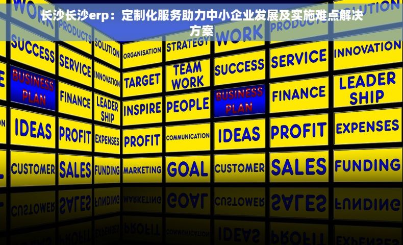 长沙长沙erp：定制化服务助力中小企业发展及实施难点解决方案