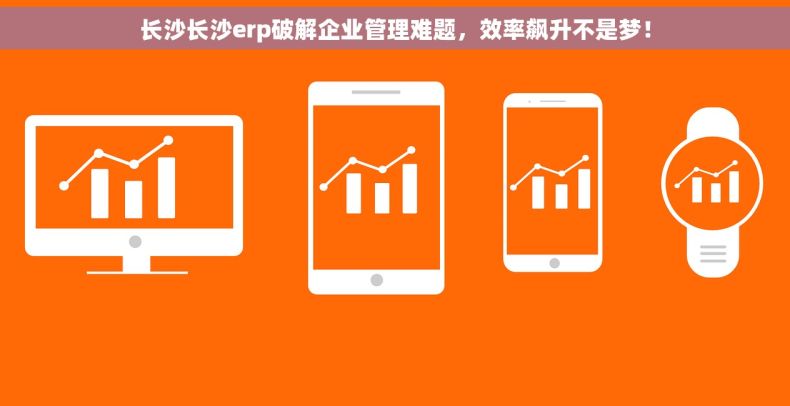 长沙长沙erp破解企业管理难题，效率飙升不是梦！