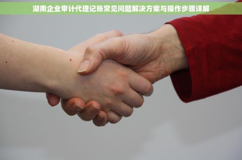 湖南企业审计代理记账常见问题解决方案与操作步骤详解