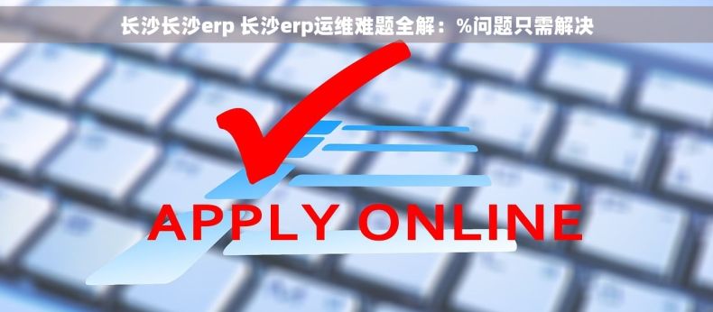 长沙长沙erp 长沙erp运维难题全解：%问题只需解决