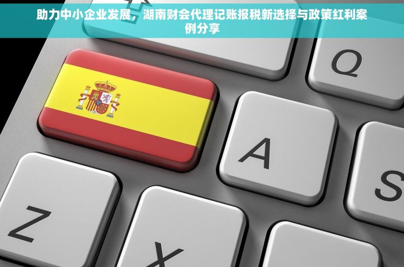 助力中小企业发展，湖南财会代理记账报税新选择与政策红利案例分享
