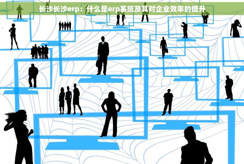 长沙长沙erp：什么是erp系统及其对企业效率的提升