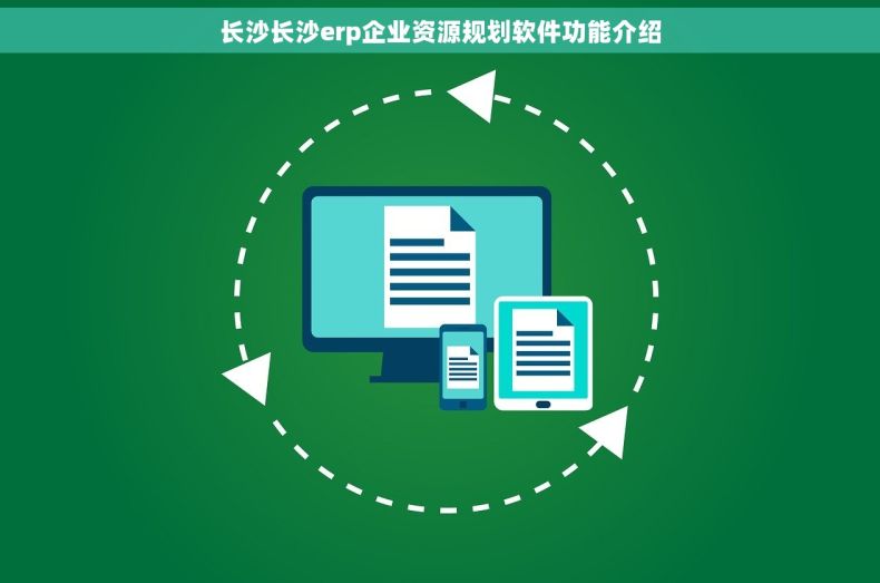 长沙长沙erp企业资源规划软件功能介绍