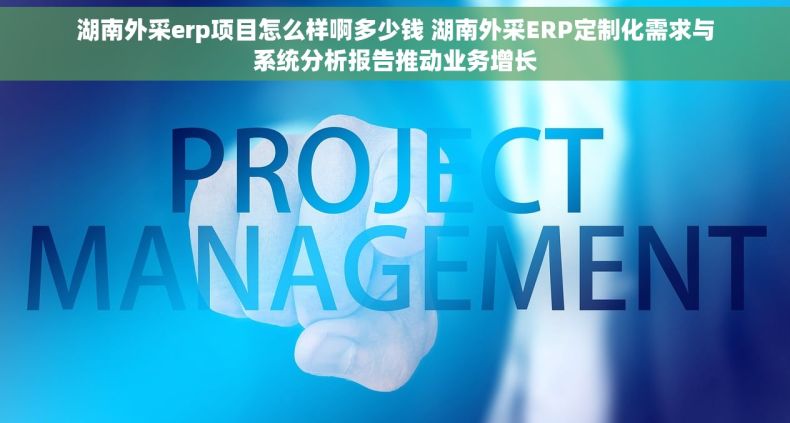 湖南外采erp项目怎么样啊多少钱 湖南外采ERP定制化需求与系统分析报告推动业务增长