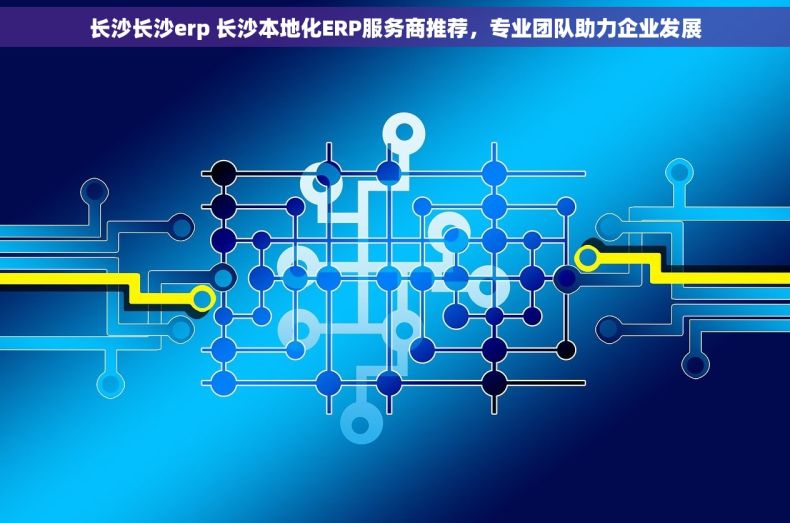 长沙长沙erp 长沙本地化ERP服务商推荐，专业团队助力企业发展