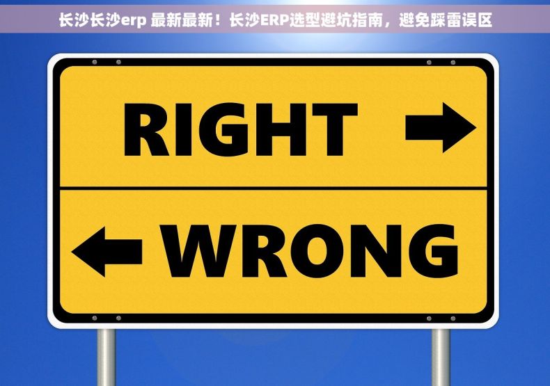 长沙长沙erp 最新最新！长沙ERP选型避坑指南，避免踩雷误区