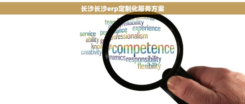 长沙长沙erp定制化服务方案