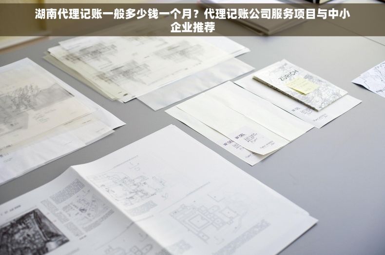 湖南代理记账一般多少钱一个月？代理记账公司服务项目与中小企业推荐