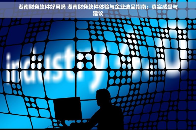 湖南财务软件好用吗 湖南财务软件体验与企业选品指南：真实感受与建议