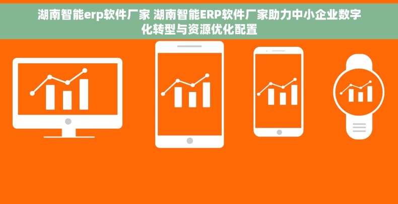 湖南智能erp软件厂家 湖南智能ERP软件厂家助力中小企业数字化转型与资源优化配置