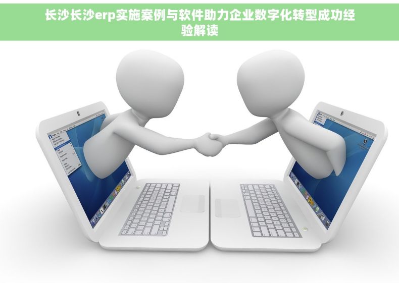 长沙长沙erp实施案例与软件助力企业数字化转型成功经验解读