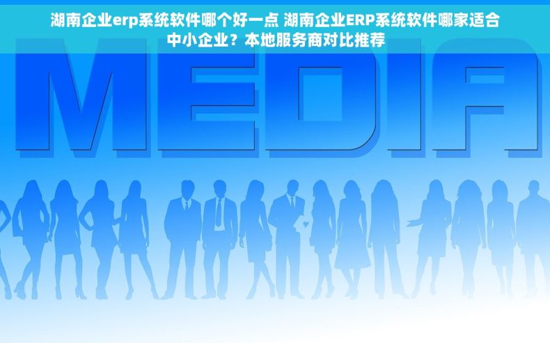 湖南企业erp系统软件哪个好一点 湖南企业ERP系统软件哪家适合中小企业？本地服务商对比推荐