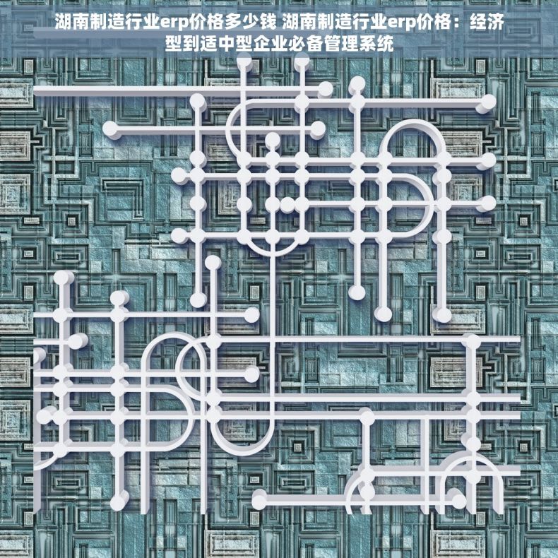 湖南制造行业erp价格多少钱 湖南制造行业erp价格：经济型到适中型企业必备管理系统