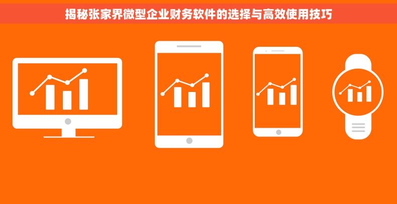揭秘张家界微型企业财务软件的选择与高效使用技巧