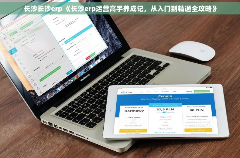 长沙长沙erp 《长沙erp运营高手养成记，从入门到精通全攻略》