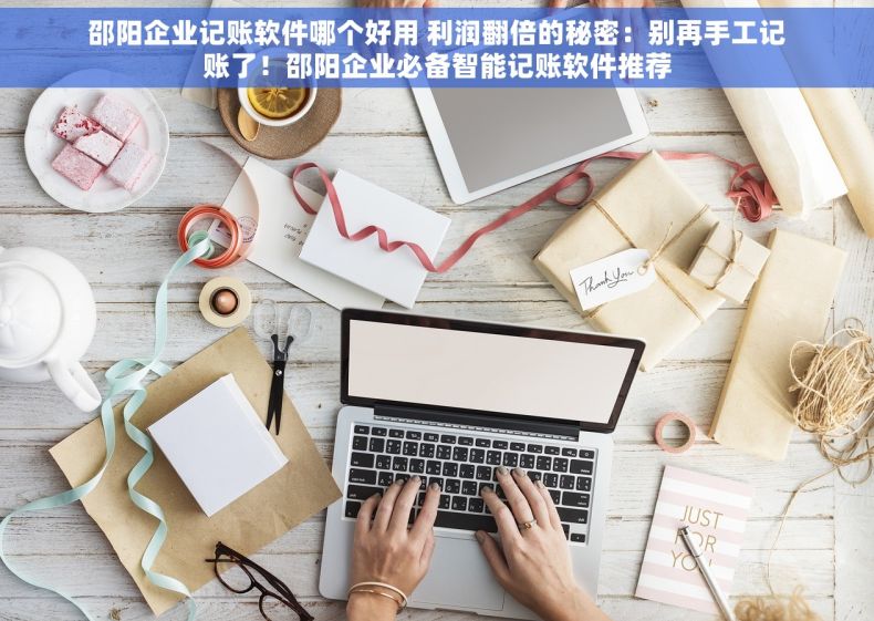 邵阳企业记账软件哪个好用 利润翻倍的秘密：别再手工记账了！邵阳企业必备智能记账软件推荐