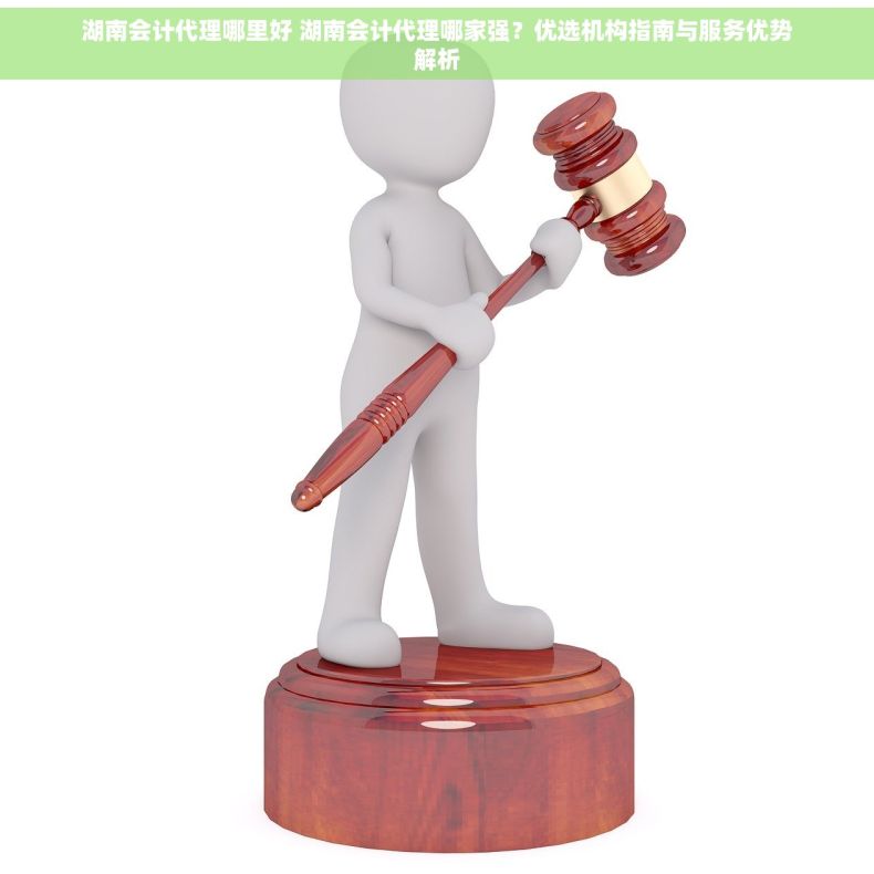 湖南会计代理哪里好 湖南会计代理哪家强？优选机构指南与服务优势解析