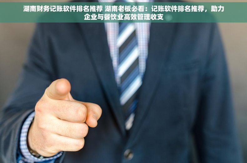 湖南财务记账软件排名推荐 湖南老板必看：记账软件排名推荐，助力企业与餐饮业高效管理收支