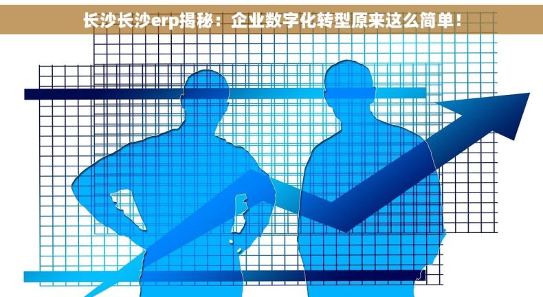 长沙长沙erp揭秘：企业数字化转型原来这么简单！