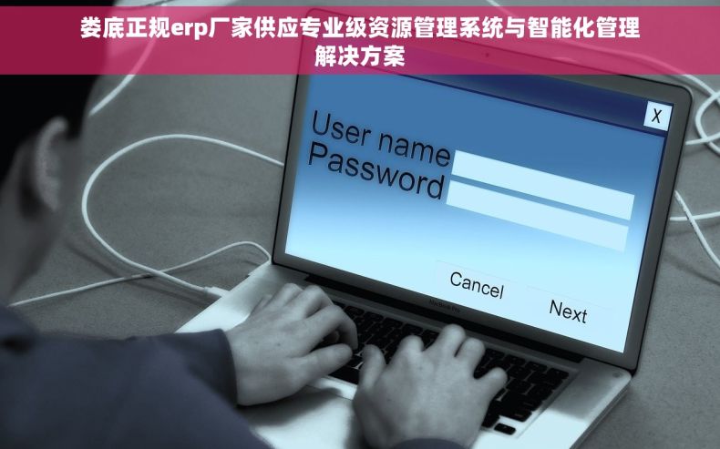 娄底正规erp厂家供应专业级资源管理系统与智能化管理解决方案