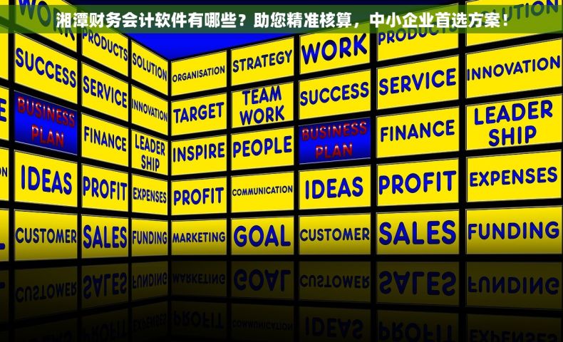 湘潭财务会计软件有哪些？助您精准核算，中小企业首选方案！