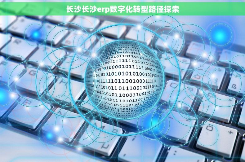 长沙长沙erp数字化转型路径探索