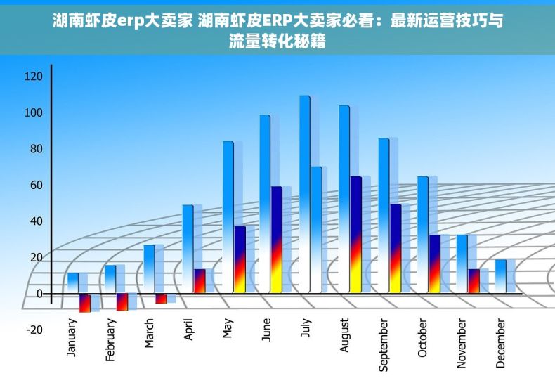 湖南虾皮erp大卖家 湖南虾皮ERP大卖家必看：最新运营技巧与流量转化秘籍