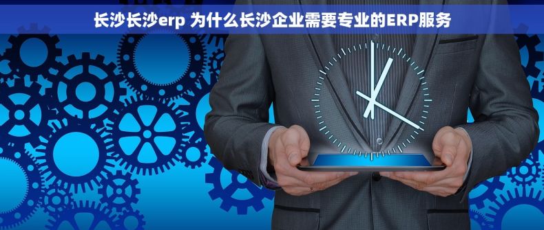 长沙长沙erp 为什么长沙企业需要专业的ERP服务