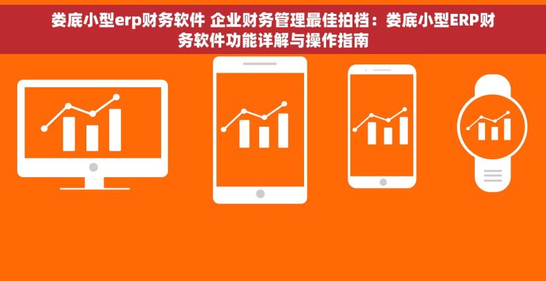 娄底小型erp财务软件 企业财务管理最佳拍档：娄底小型ERP财务软件功能详解与操作指南