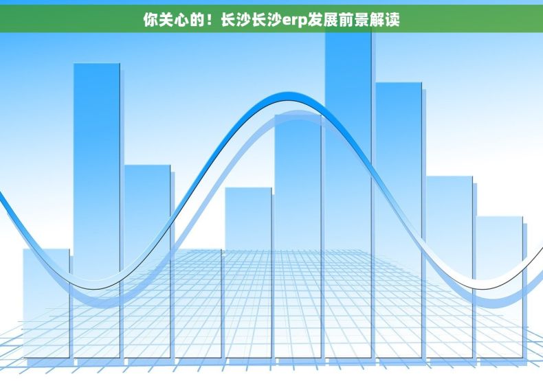 你关心的！长沙长沙erp发展前景解读