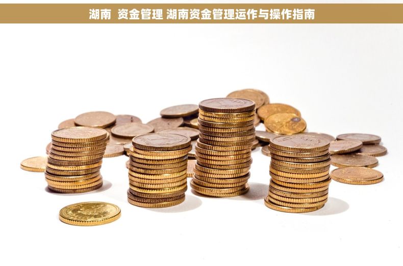 湖南  资金管理 湖南资金管理运作与操作指南
