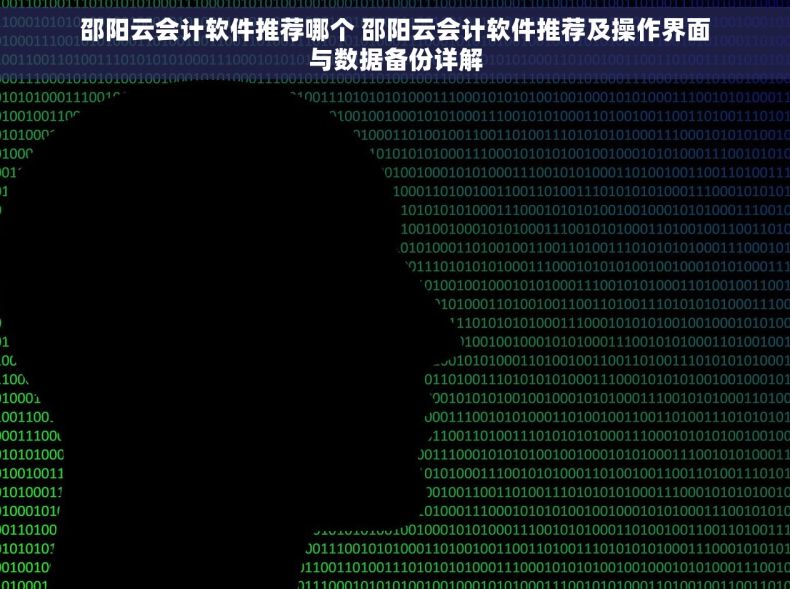 邵阳云会计软件推荐哪个 邵阳云会计软件推荐及操作界面与数据备份详解